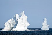 К берегам Новой Зеландии айсберги доставили океанские течения. // Dale Wilson