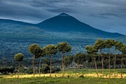 Руанда – популярное туристическое направление. // Andy Rouse