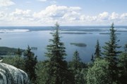 На территории 30 кв. км можно увидеть всю красоту финской природы. // MEK