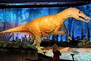 На выставке представлены модели динозавров в натуральную величину. // lesechos.fr