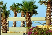Новый курортный комплекс предлагает пляжный и оздоровительный отдых. // obeach.net