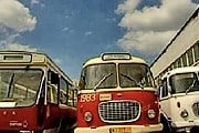 Гостей праздника будут перевозить ретроавтобусы. // tvnwarszawa.pl