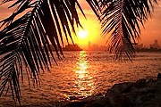 Новые пляжи построят на острове Пальма. // tripadvisor.com