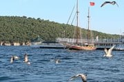 Принцевы острова - популярное направление однодневных поездок из Стамбула. // Wikipedia