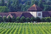 Denbies Wine Estate производит 12 сортов вина. // denbies.co.uk