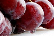 В Праге пройдет праздник сбора винограда. // naturalpapa.com