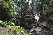 Природа - главная достопримечательность Коста-Рики. // Travel.ru