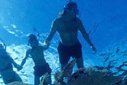 John Pennekamp Coral Reef State Park предлагает отдых для всей семьи. // great-florida-vacations.com