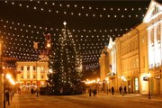 В конце ноября на Ратушной площади установят рождественскую ель. // tartu.ee