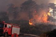 Огонь уничтожил 42 тысячи кв. км леса. // puerrtto.livejournal.com