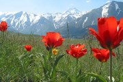 Природа привлекает туристов в Казахстан. // visitkazakhstan.kz