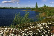 Природа привлекает туристов на Ямал. // Travel.ru