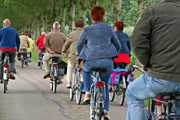 Всего в Нидерландах насчитывается 18 миллионов велосипедов. // iStockphoto
