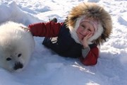 Новорожденные тюлени ждут туристов. // wdc-arh.ru