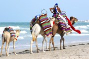 Курорты Туниса открыты для туристов. // iStockphoto
