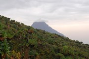 Руанда привлекает природой и качественным туристическим сервисом. // iStockPhoto