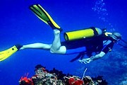 Совершить подводную экскурсию можно бесплатно. // tag-heuer-diving-watches.blogspot.com