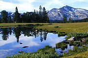 Йосемитский национальный парк славится живописными видами. // letsgodigital.org