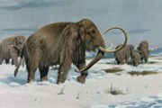 Якутия приглашает посетить "Всемирный центр мамонта". // allposters.com
