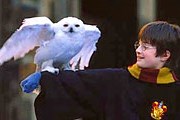 Туристы смогут погрузиться в мир Гарри Поттера. // joeutichi.com