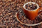 Посетители заведений смогут попробовать различные сорта кофе и сравнить способы приготовления напитка. // porcelainfacespa.com