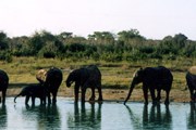 Кения – земля разнообразия дикой природы. // Travel.ru