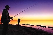 Прага приглашает принять участие в рыбной ловле. // essendonblog.com.au