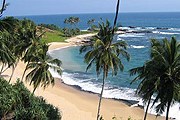 Предварительную заявку на визу в Шри-Ланку нужно будет оставлять в интернете. // lankaholidays.com