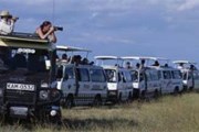 Национальные парки Кении ждут туристов. // cheetah-tours.com
