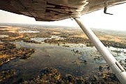 Вид на дельту Окаванго с борта легкомоторного самолета. // eturbonews.com