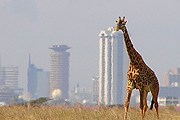 Кения привлекает туристов, несмотря на неспокойную обстановку. // wikipedia.org