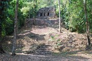Джунгли Lacandon - уникальный природный и исторический комплекс. // Wikipedia