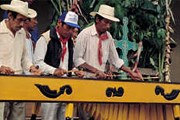 Интерес к культуре майя растет год от года. // mayadiscovery.com