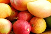 Столица манго находится в Доминикане. // jaunted.com