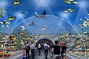 Посетители смогут больше узнать о подводном мире. // basakhaber.com