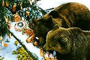 Туристы могут побывать на Медвежьем Рождестве. // ilovecz.ru