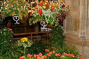 Садовники украсят парадный зал ратуши цветами. // wieninternational.at