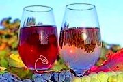 На фестивале можно будет попробовать вина разных производителей. // sannews.com.ua