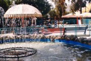 Зоопарк Лимасола - популярное место семейного отдыха. // limassolmunicipal.com