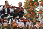 В городах проходят цветочные парады. // naturally-cyprus.com