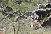 В Боливии найдены руины загадочной крепости. // abovetopsecret.com