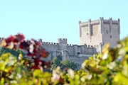 Туристы познакомятся с историей и виноделием региона. // turismopenafiel.com