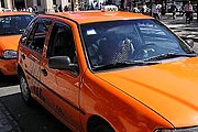 Автомобили покрасят в оранжевый цвет. // Morio/Wikimedia