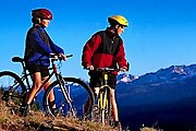 Совершить экскурсию можно на велосипеде. // planetgreen.discovery.com