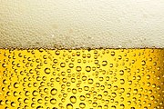 Гости праздника смогут попробовать пиво, сваренное на турбазе. // wallpampers.ru