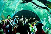 Aqua Planet Yeosu – павильон прошедшей выставки EXPO-2012. // hanwha.com