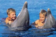 В Сочи откроется крупнейший дельфинарий. // manatipark.com