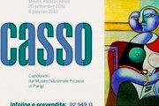 Выставка Пикассо пройдет в Милане. // news-24h.it