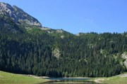 Природа Черногории привлекает туристов. // chernogora.ru