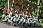 Велосипеды можно взять напрокат бесплатно. // park.sokolniki.com
